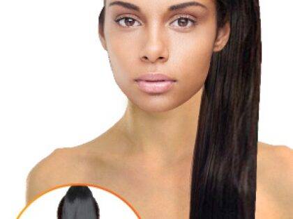 Magic Gold Anemone Ponytail