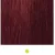 Redwine